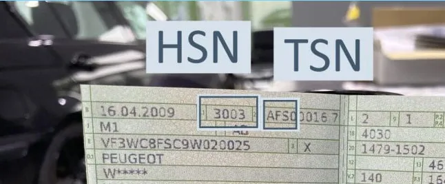 Nahaufnahme der HSN- und TSN-Felder auf der Zulassungsbescheinigung